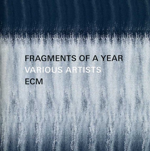 Fragments Of A Year - Fragments of a Year / Various