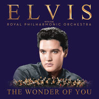 Various Artists - The Wonder Of You: With The Royal Philharmonic Orchestra