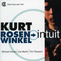 Kurt Rosenwinkel - Intuit