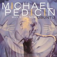 Michael Pedicin - Why Stop Now