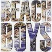 The Beach Boys - Beach Boys [Vinyl]