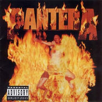 Pantera - Reinventing The Steel [Vinyl]
