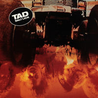 Tad - Salt Lick [Deluxe Edition Remastered Vinyl]