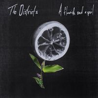 The Districts - A Flourish and a Spoil [Vinyl]