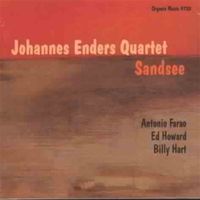 Johannes Enders - Sandsee