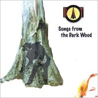 Bat - Songs from the Dark Wood
