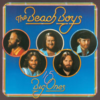 The Beach Boys - 15 Big Ones [Vinyl]