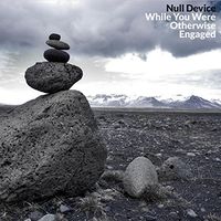 Null Device - While You Were Otherwise Engaged