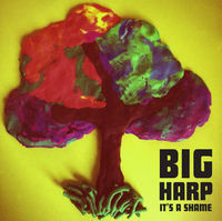 Big Harp - It's A Shame [Vinyl Single]