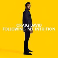 Craig David - Following My Intuition [Import Deluxe]
