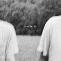 Hovvdy - Cranberry [LP]