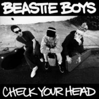 Beastie Boys - Check Your Head [2LP]