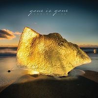 Gone Is Gone - Echolocation [Import Vinyl]