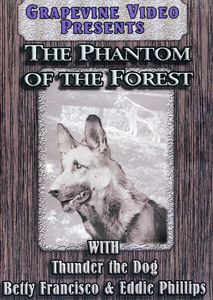 The Phantom of the Forest