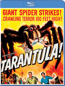 Tarantula