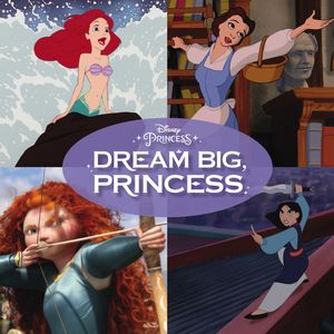 Dream Big Princess /  Various