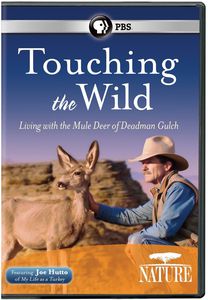 Nature: Touching the Wild - Living With the Mule Deer of Deadman Gulch