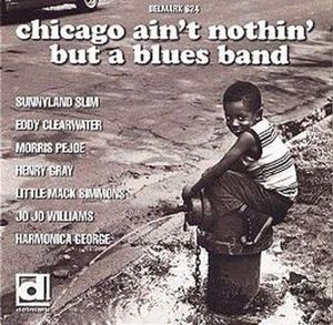 Chicago Ain't Nothin But a Blues Band /  Various