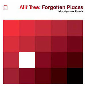 Forgotten Places (Moodymann Remix)