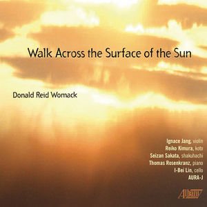 Walk Across the Surface of the Sun