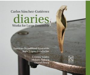 Diaries - Works for Large Ensemble