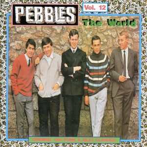 Pebbles Vol.12