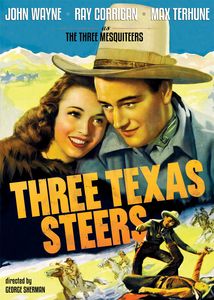 Three Texas Steers