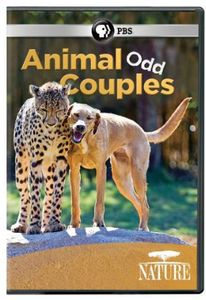 Nature: Animal Odd Couples