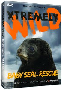 Baby Seal Rescue