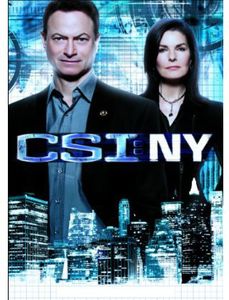 CSI NY: The Ninth Season (The Final Season)