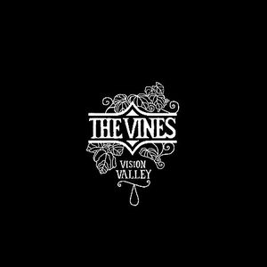 Vision Valley [Explicit Content]