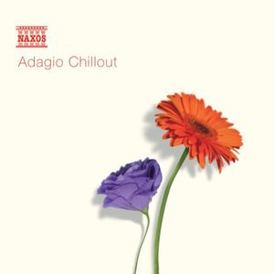 Adagio Chillout /  Various