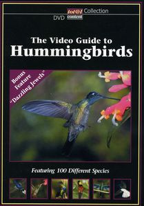 Video Guide to Hummingbirds