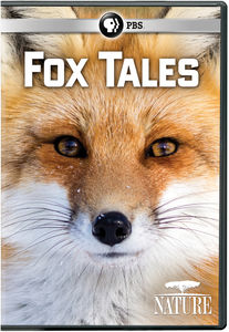 NATURE: Fox Tales