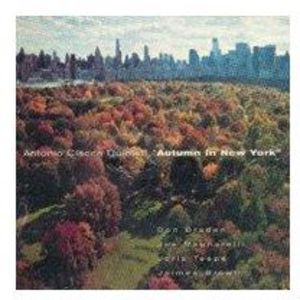 Autumn in New York [Import]