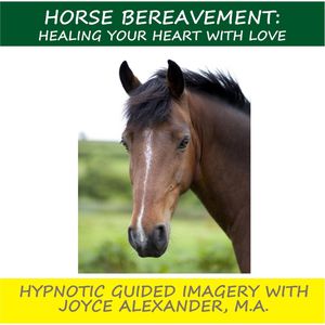 Horse Bereavement Healing Your Heart with Love