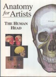 Anatomy for Artists - The Human Head