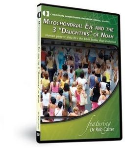 Mitochondrial Eve & 3 Daughters Of Noah