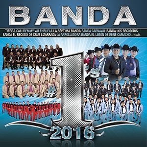 Banda #1's 2016 /  Various