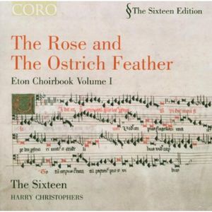 Rose & the Ostrich Feather