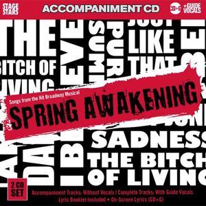 Karaoke: Spring Awakening, Songs From The Broadway Musical