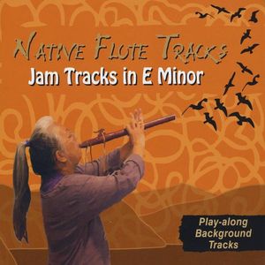 Jam Tracks in E Minor /  Various