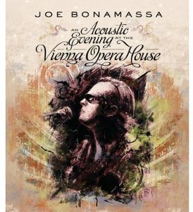 An Acoustic Evening at the Vienna Opera House