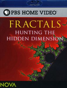 Fractals: Hunting the Hidden Dimension