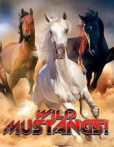 Wild Mustangs