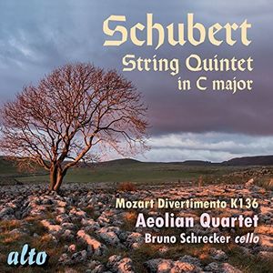String Quintet in C Major /  Divertimento in D