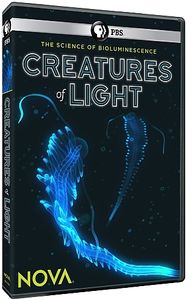 Nova: Creatures of Light