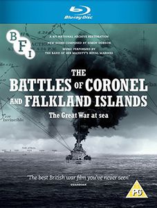 The Battles of Coronel and Falkland Islands: The Great War at Sea [Import]