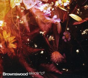 Brownswood Electr*c 2