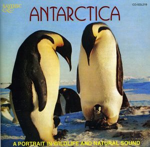 Antarctica: A Portrait In Wildlife and Natural Sound